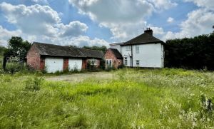 Company holds first live auction in two and a half years