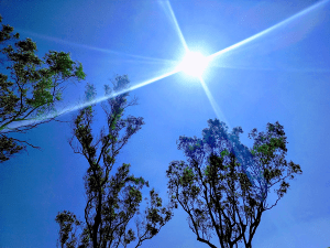 Housing industry must adapt to hot summers